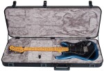 Fender American Professional II Stratocaster MN DK NIT