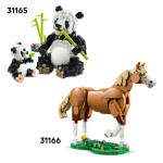 LEGO LEGO® Creator 3v1 31173 Divoká zvířata: Tropický tukan