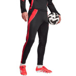 Kalhoty adidas Tiro 24 Slim Training M JP2489 s
