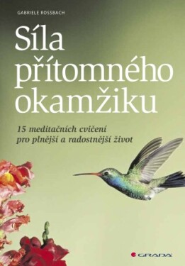 Síla přítomného okamžiku - Gabriele Rossbach - e-kniha