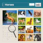 Nástěnný kalendář 2027 Helma Horses