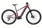 Pells Thorr Panasonic 1, pneu 29", rám M, model 2026, barva Mat raspberry - ZDARMA dopravné, odborná montáž, seřízení, dárkový poukaz na nákup příslušenství! (Záruka nejlepší ceny. Nalezli jste někde lepší cenu? Napište nám a zkusíme ji trumfnout! )
