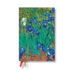 2025 DP 12 Van Gogh’s Irises