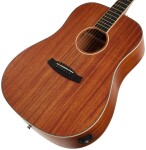 Tanglewood TUN5E