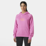 Helly Hansen Core Graphic Hoodie W 54239 089 L