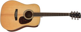 Cort Earth 100 NAT