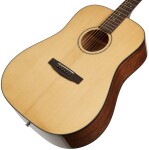 Cort Earth 60 NAT