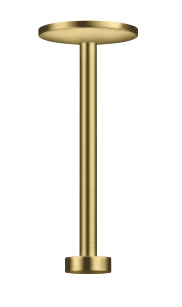 AXOR - One Sprchové rameno stropní, 30 cm, kartáčovaná mosaz 48496950