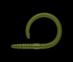 Libra Lures Flex Worm 9,5cm 10ks - Olive,Libra Lures Flex Worm 9,5cm 10ks - Olive