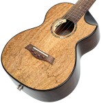 Flight MAIA TENOR EQ-A
