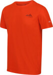Pánské tričko Regatta RMT273-33L oranžové Oranžová