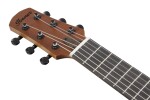 Ibanez AUP10N Natural