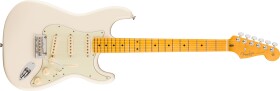 Fender American Professional Stratocaster MN OWT