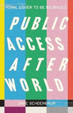Public Access Afterworld - Schoenbrun Jane