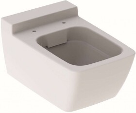 GEBERIT - Xeno 2 Závěsné WC, 540x350 mm, Rimfree, bílá 500.500.01.1