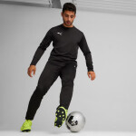 Puma Team Goal Training kalhoty M 658639 03 s