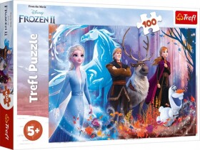 TREFL Puzzle Frozen - Mrazivá magie 100 dílků