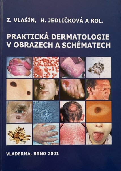 Praktická dermatologie v obrazech a schématech - Zdeněk Vlašín