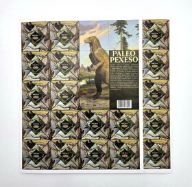 Paleo pexeso (64 dílků)