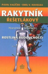 Rakytník řešetlákový rostlina budoucnosti Pavel Valíček