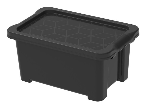 ROTHO úložný box EVO EASY 4L - BLACK