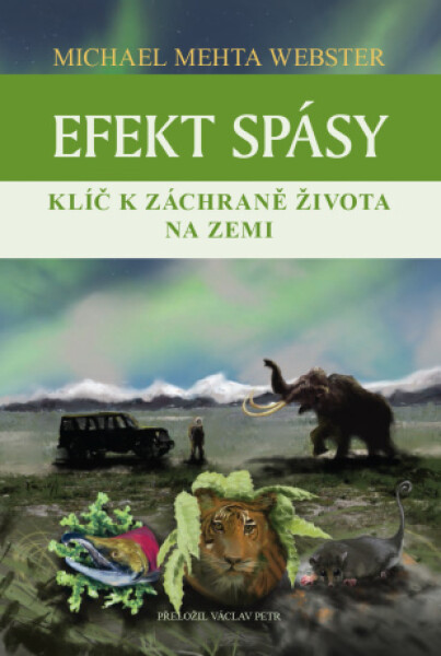 Efekt spásy - Michael Mehta Webster - e-kniha