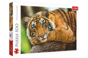Puzzle Tygří portrét 500 dílků