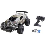 Amewi Crazy Crawler 1:10 RC model auta elektrický, Crawler, 4WD (4x4), vč. akumulátorů, nabíječky a baterie ovladače, 22