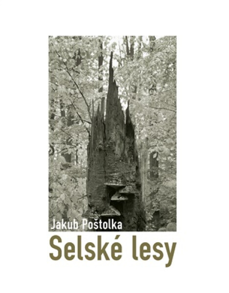 Selské lesy - Jakub Poštolka