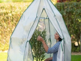 Fóliovník – Olive 1,6 x 1,6 m