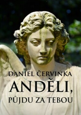 Anděli, půjdu za tebou - Daniel Červinka - e-kniha