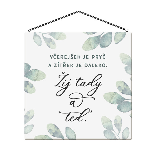 Cedulka - Žij tady a teď - Albi