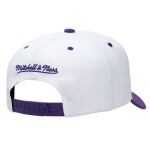 Mitchell & Ness Pánská kšiltovka Los Angeles Lakers NBA Post Season Pro Snapback Hwc