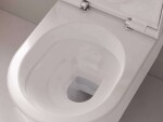 HANSGROHE - EluPura S Závěsné WC se sedátkem SoftClose, AquaFall, HygieneEffect, bílá 62021450