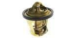 Termostat na Can-Am Outlander/Renegade/Commander 420222494