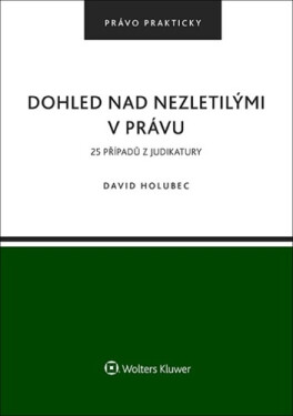 Dohled nad nezletilými v právu - 25 příkladů z judikatury - David Holubec