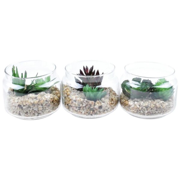 Sukulenty dekorace wve skle 7,5 cm (různé barvy a vzory)