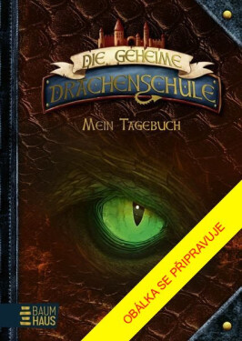 Tajná dračí škola: Deník - Emily Skye