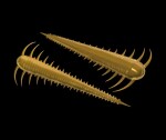 Libra Lures Červ Slayzur 55 12ks - Coffee Milk 036,Libra Lures Červ Slayzur 55 12ks - Coffee Milk 036