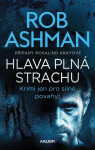 Hlava plná strachu (poškozená) - Rob Ashman
