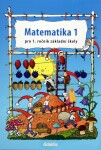 Matematika pro