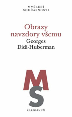 Obrazy navzdory všemu - Georges Didi-Huberman