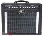 Peavey Transtube Envoy 110 II