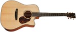 Furch Vintage 1 Dc-SM