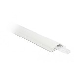 Delock Kabelová lišta PVC bílá (d x š x v) 1 m x 30 mm x 8 mm 1 ks 20704