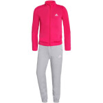 Tepláková souprava Adidas Essentials Jr HM8702 164cm