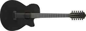 Ibanez AEG621-BOT