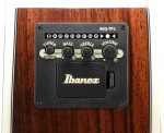 Ibanez AC391RCE Black Top