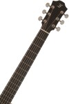 Furch Blue Plus D-CM