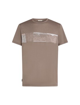 ICEBREAKER Mens Mer 150 Tech Lite SS Tee Elev Line, Porcini velikost: XXL